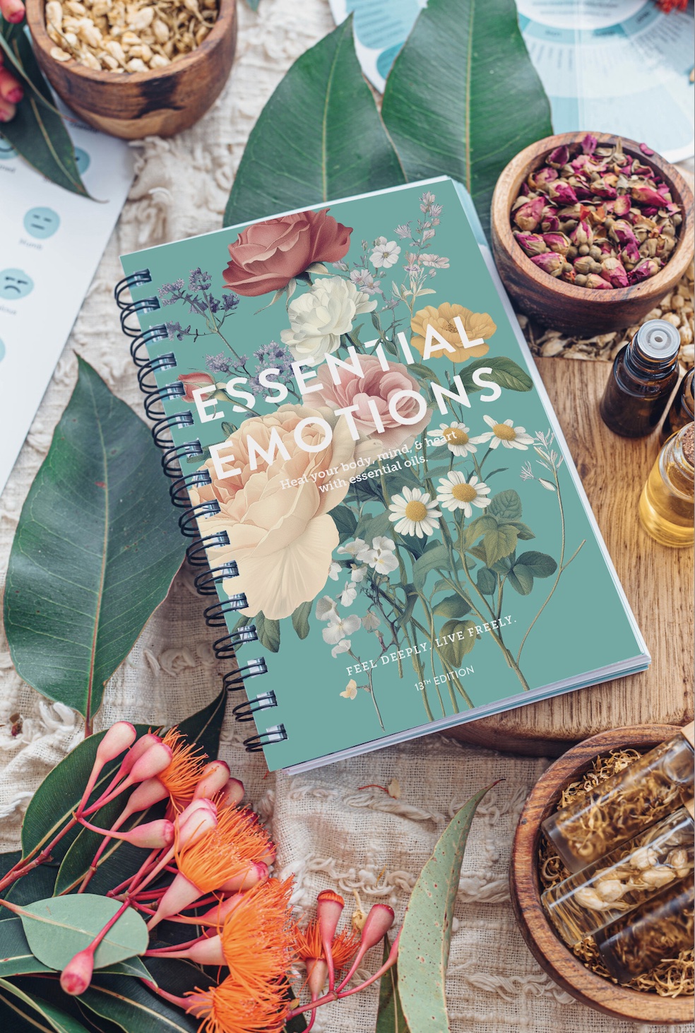 Essential Emotions Book 13th Edition